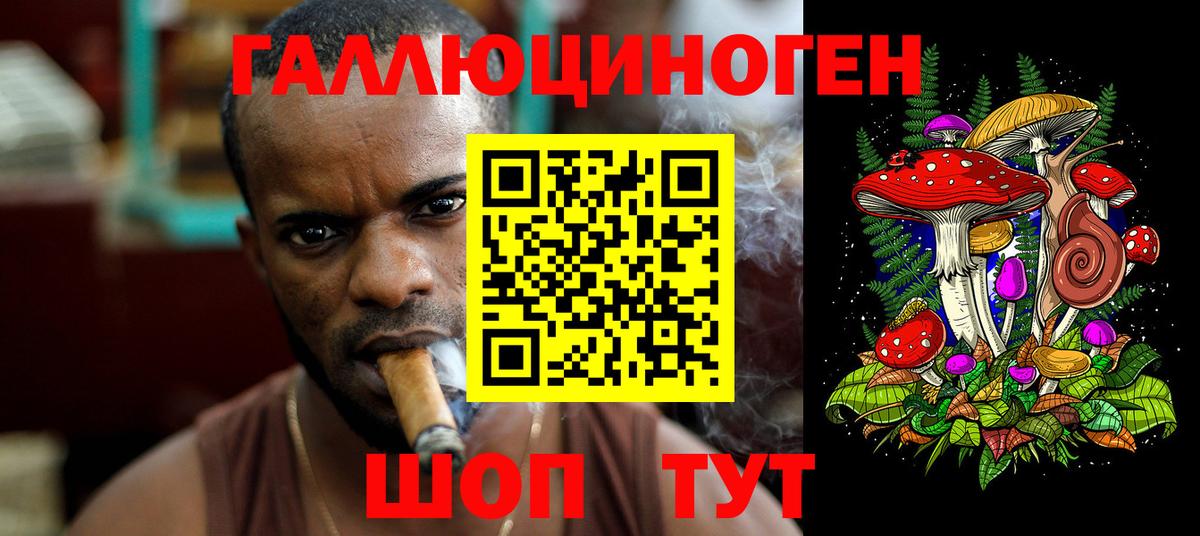 Псилоцибиновые грибы MAGIC MUSHROOMS  Вход с VPN  Березники  Галлюциногенные грибы ЛСД 